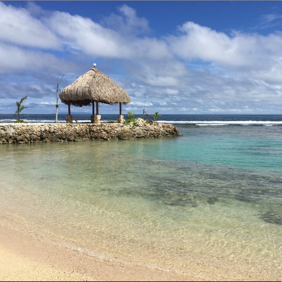 Meet your Posher, Michele - Picture 1 of 1